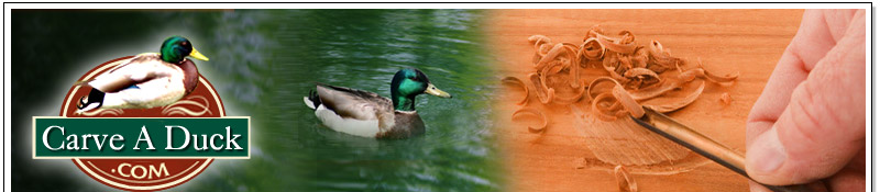 Carve-A-Duck.com