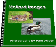 Mallard Images Booklet